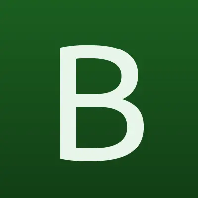 Башинформсвязь, лого-визитка